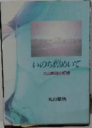 いのち煌めいて　丸山敏雄の原像
