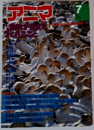 アニマ 1981年7月号