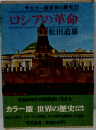 カラー版世界の歴史22 ロシアの革命