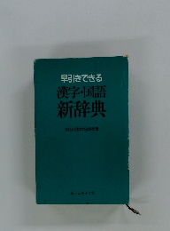 漢字・国語新辞典　早引きできる