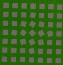 国語辞典 〔特装版〕