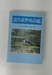 徳島県野鳥図鑑 解説  写真 日本野鳥の会徳島県支部