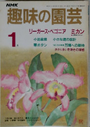 趣味の園芸　1月