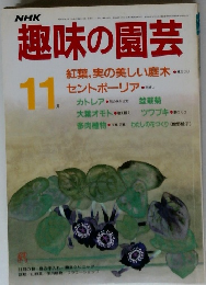 趣味の園芸　11月