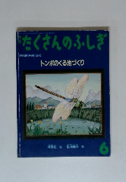 たくさんのふしぎ　1998年6月号