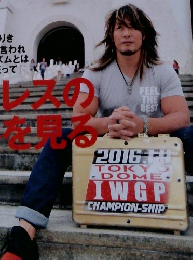 プロレス　2015年11月4日号