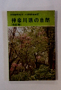 神奈川県の自然　[改訂版]