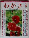 わかさ　1998年6月