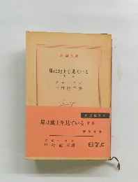 星は地上を見ている　下卷