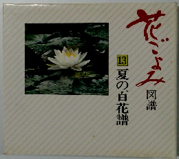 花ごよみ 図譜 13 夏の百花譜