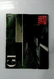 GI 10　FRANK LLOYD WRIGHT