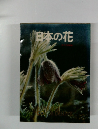 日本の花