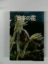 日本の花