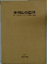 牛田山の自然