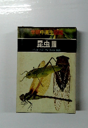 昆虫Ⅲ