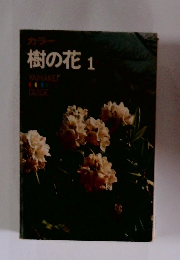 カラー 樹の花 1