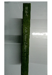 原始人 　Life Nature Library