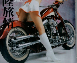 バイブズ　2004/6