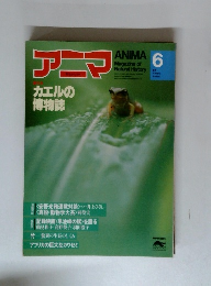 アニマ　カエルの博物誌　6