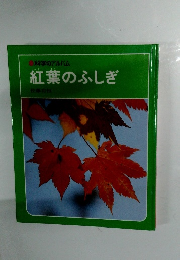 科学のアルバム　紅葉のふしぎ