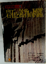 新学習図鑑シリーズ 21　岩石・鉱物の図鑑