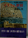 カラー版世界の歴史8　イスラム世界