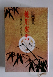 徳川家光　地の声天の声の巻