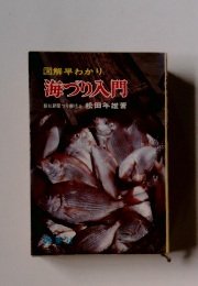 図解早わかり 海づり入門
