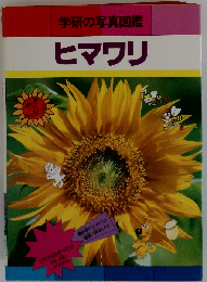 学研の写真図鑑 ヒマワリ