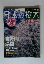 日本の樹木　創刊2号　3/30　ヤマザクラ