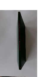 CODE CEASS AKITO THE EXILED