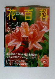 花百科　62　2005年5月26日