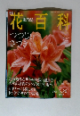 花百科　62　2005年5月26日