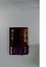 翔ぶが如く　六