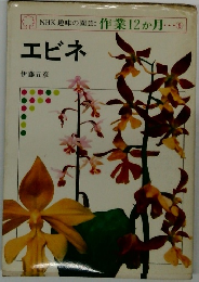 作業12か月 8　エビネ