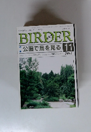 BIRDER　1994年11月号　公園で鳥を見る