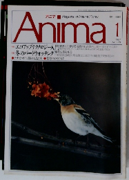 Anima　1　No.220