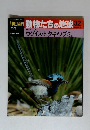 朝日百科　動物たちの地球　32