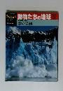 週刊日百科　動物たちの地球　35