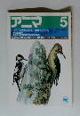 アニマ　5月号　バードウォッチャー探鳥をこえた人たち
