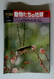 朝日百科　動物たちの地球　33　シジュウカラ・ホオジロほか