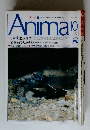 アニマ　1991年10月号