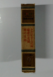 カラー名作 少年少女 世界の文学9　 トム・ソーヤーの冒険　秘密の花園 　湖の女神