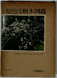 原色日本樹木図鑑