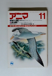 アニマ 11