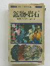 鉱物・岩石　ポケット科学図鑑