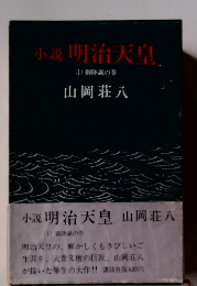 小説明治天皇　(1) 御降誕の巻