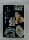 魚類の歴史　化石がかたる地球の歴史2