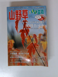 山野草とミニ盆栽　2005年秋　Vol.52