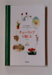 チューリップを愉しむ